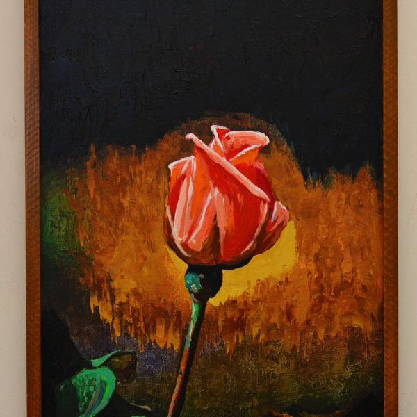 red rose