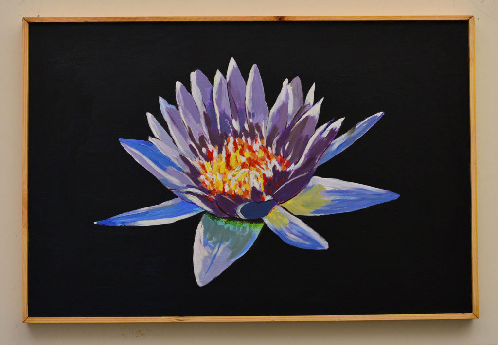 violet flower