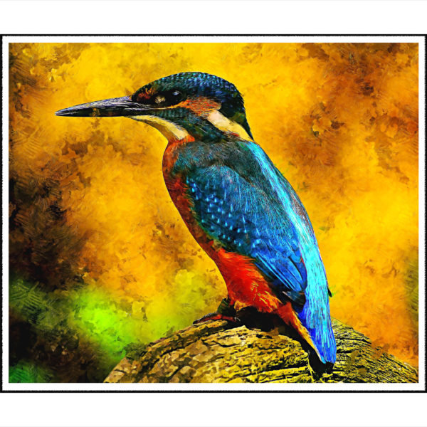 bird