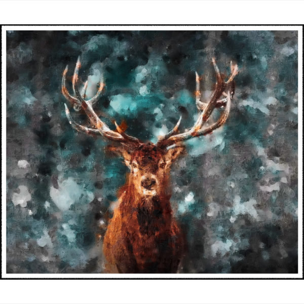 Deer